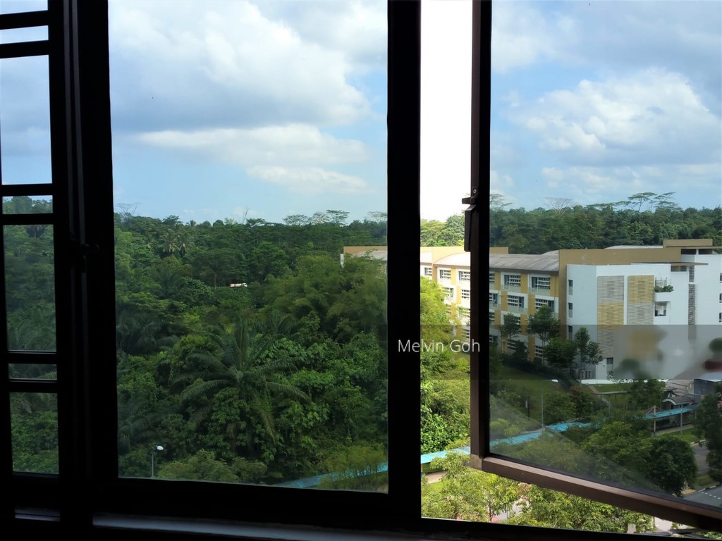 Blk 451 Fajar Road (Bukit Panjang), HDB Executive #198781152